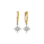 0,13 ct Diamant Polarstern Ohrringe