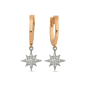 0.13 ct Diamond North Star Earrings